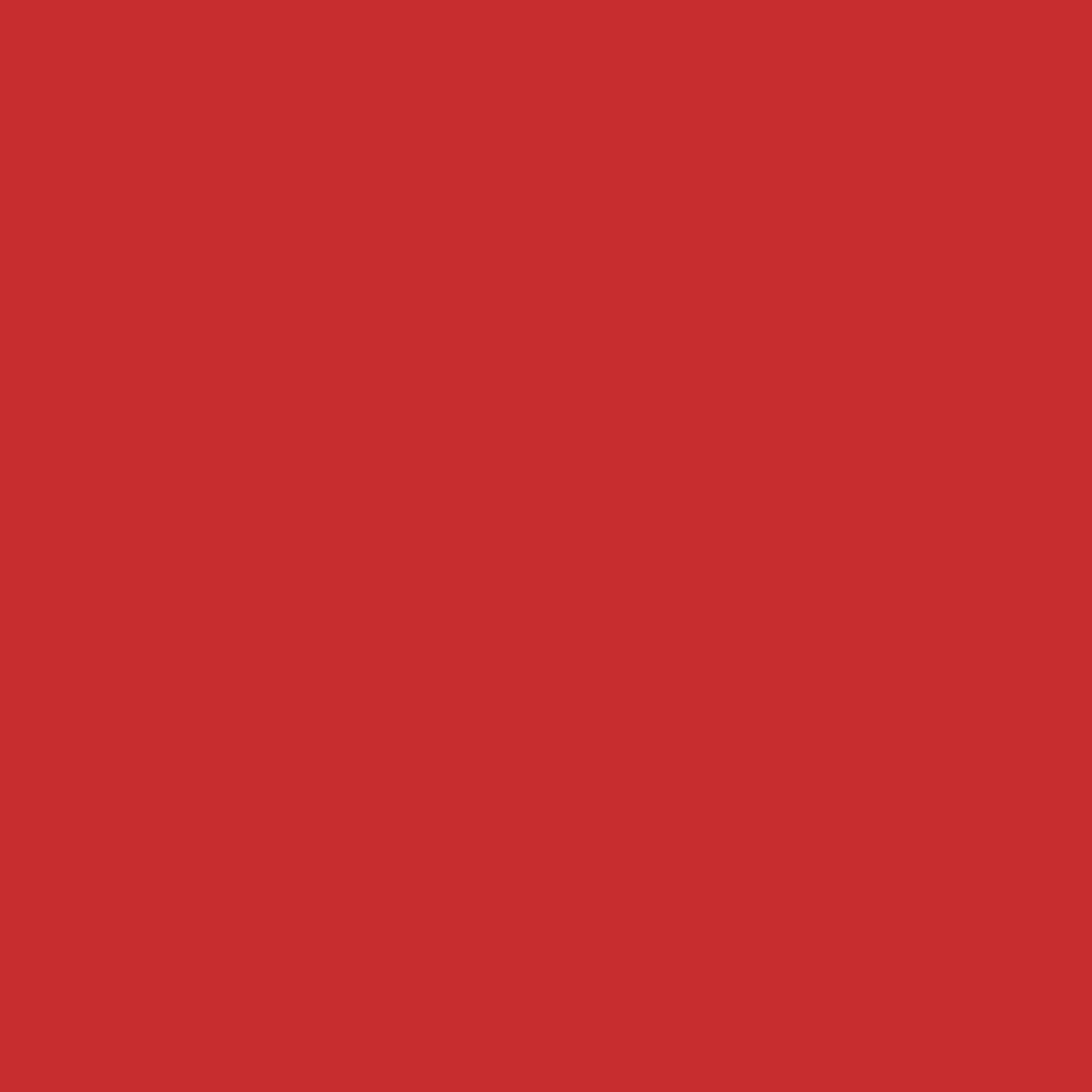 ASLAN PremiumColour C 118 Soft