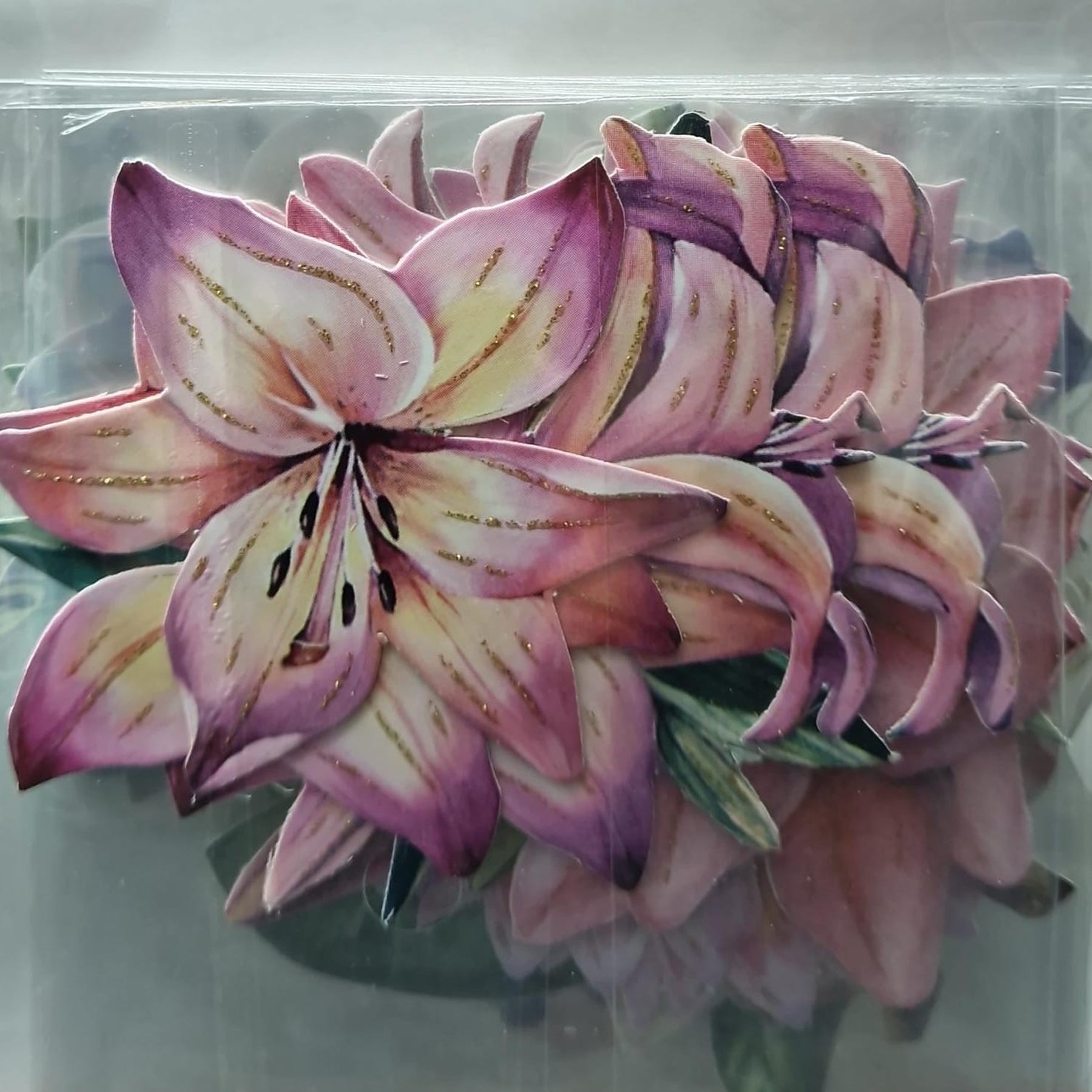 Crealive 3D Topper / Aufsatz - Flower Bouquets
Inhalt:
• 10 verschiedene 3D Designs
Spezifikationen:
• Grösse: 1 Design ca. 8 x 8 cm
• Papiergewicht: 280 g/m2
• jedes Design besteht aus 3 gestanzten Teilen (jeweils separat abgepackt)
• feine Glitzer-Verzierungen
Diese Aufsätze sind geeignet für:
• Karten
• Verzierungen für Boxen, Geschenk-Verpackungen, Geschenktaschen, etc.
• Scrapbooking
• Mixed Media
• Journaling
Dieser 3D Bastelaufsatz macht das Basteln einfach und bereitet Spass. Mit den 3D-Desi