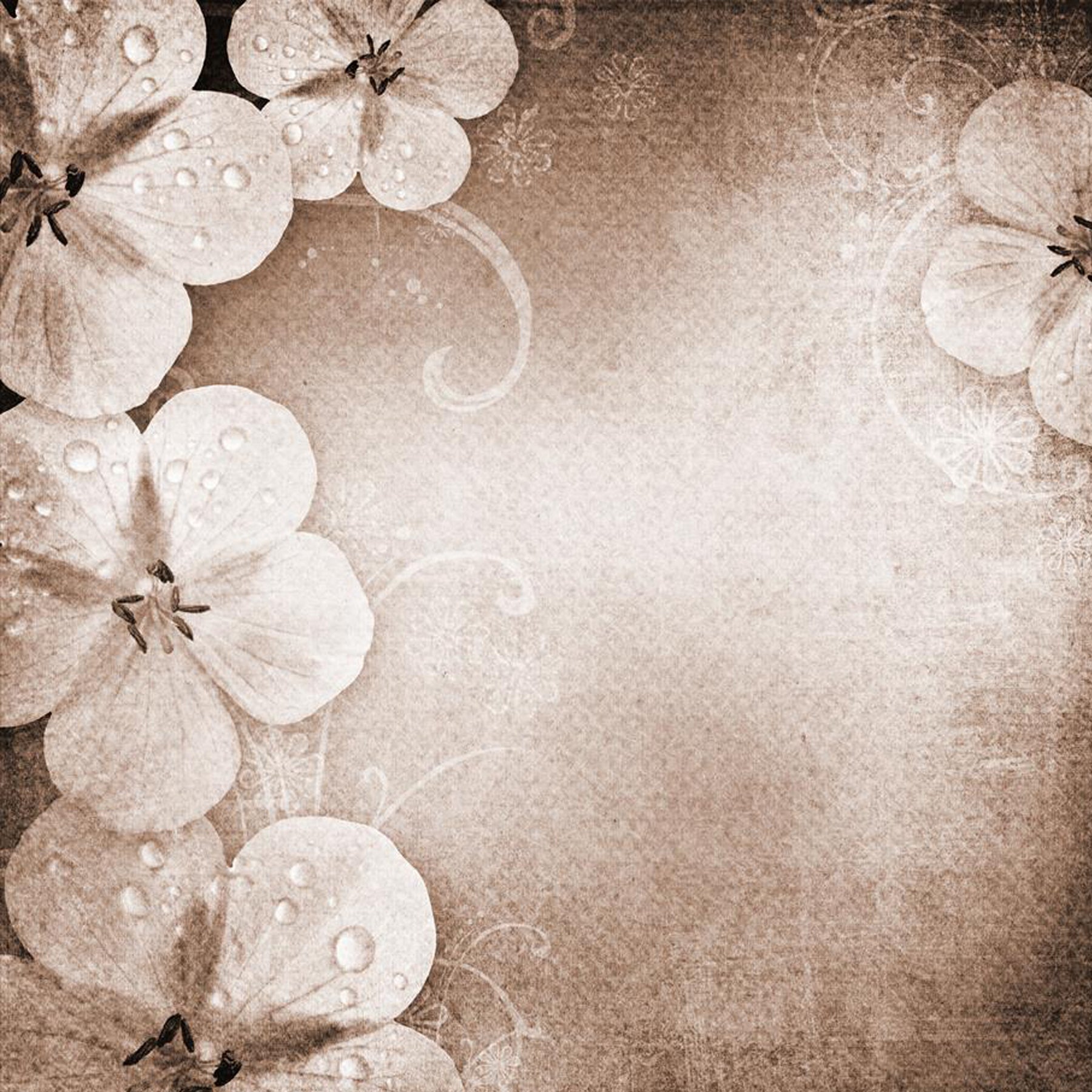 Crealive Paper Pad 120 g/m2 - 15 cm x 15 cm - Vintage Flowers Brown
Inhalt:
• 32 Blatt
• 8 Designs
Spezifikationen:
• 15 cm x 15 cm
• 120 g/m2
• einseitig bedruckt
• säure- und ligninfrei
Dieses Paper Pad ist geeignet für:
• Karten
• Karten- und Boxendekorationen
• Plotten
• Scrapbooking