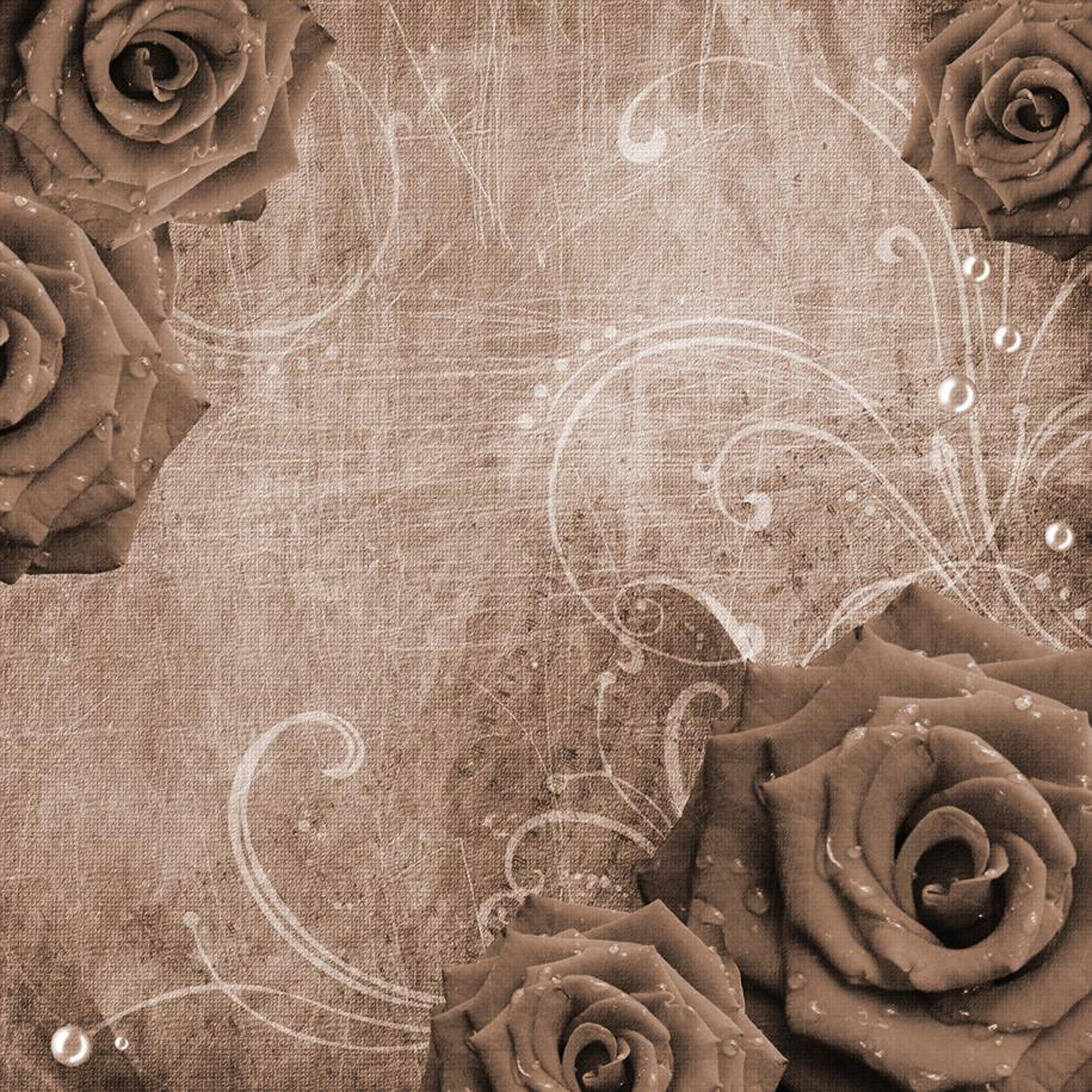 Crealive Paper Pad 120 g/m2 - 15 cm x 15 cm - Vintage Flowers Brown
Inhalt:
• 32 Blatt
• 8 Designs
Spezifikationen:
• 15 cm x 15 cm
• 120 g/m2
• einseitig bedruckt
• säure- und ligninfrei
Dieses Paper Pad ist geeignet für:
• Karten
• Karten- und Boxendekorationen
• Plotten
• Scrapbooking