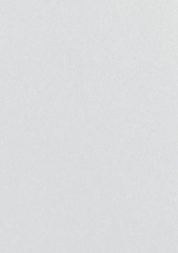 Perle Karton 250 g/m2 - A4 - silber - Crealive