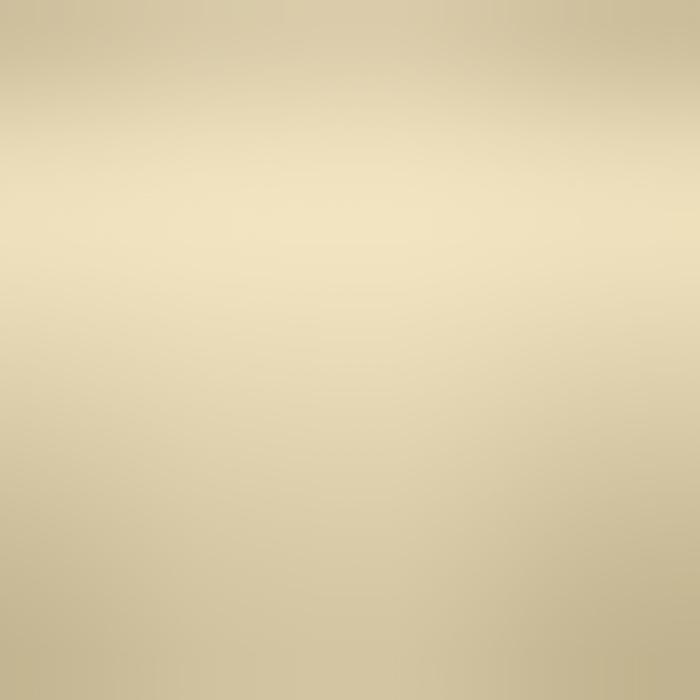 Siser P.S. Electric - Champagne - Crealive
