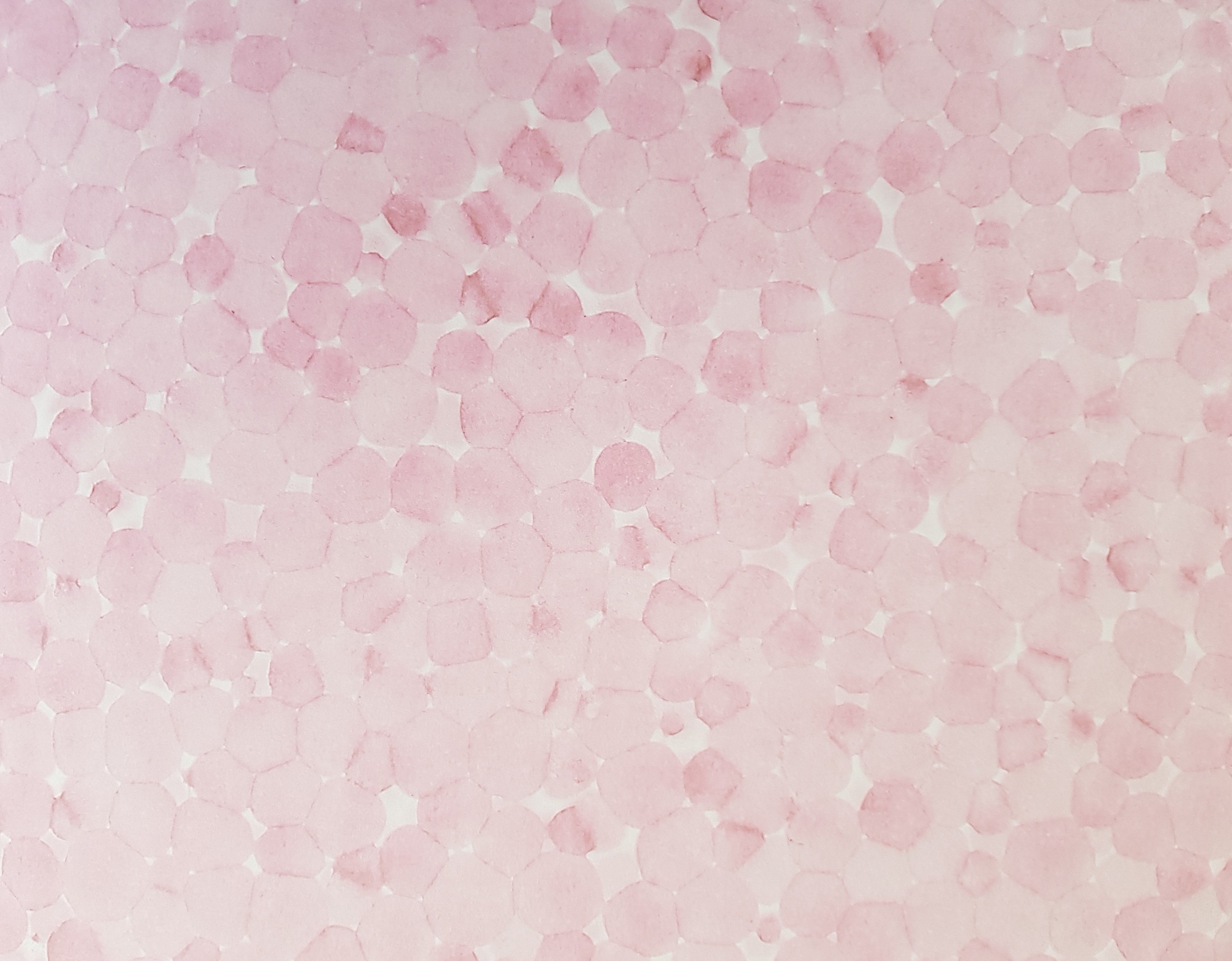 Paper Pad 250 g/m2 - 12’’ x 12’’ - Soft Sweet Pink Spezifikationen: 12’’ x 12’’ (30.5 cm x 30.5 cm) 250 g/m2 beidseitig bedruckt lässt sich gut schneiden säurefrei Inhalt: 24 Bogen 24 Designs beidseitig bedruckt Dieses Paper Pad / Designpapier ist geeignet für: Karten Karten-Verzierungen Kuverts Geschenkboxen & Verpackungen Plotten