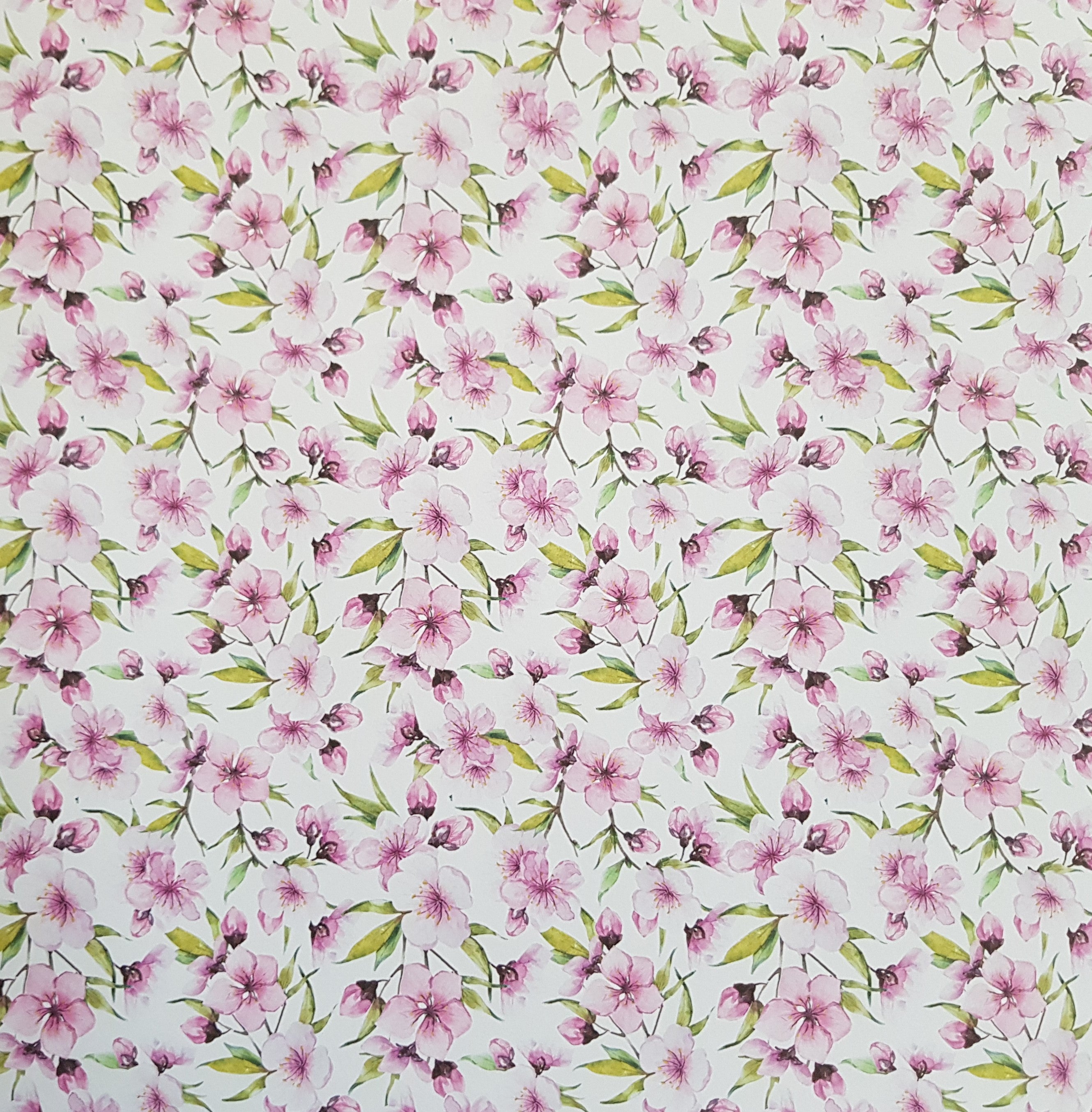 Paper Pad 250 g/m2 - 12’’ x 12’’ - Wild Flowers Spezifikationen: 12’’ x 12’’ (30.5 cm x 30.5 cm) 250 g/m2 beidseitig bedruckt lässt sich gut schneiden säurefrei Inhalt: 24 Bogen 24 Designs beidseitig bedruckt Dieses Paper Pad / Designpapier ist geeignet für: Karten Karten-Verzierungen Kuverts Geschenkboxen & Verpackungen Plotten Scrapbooking