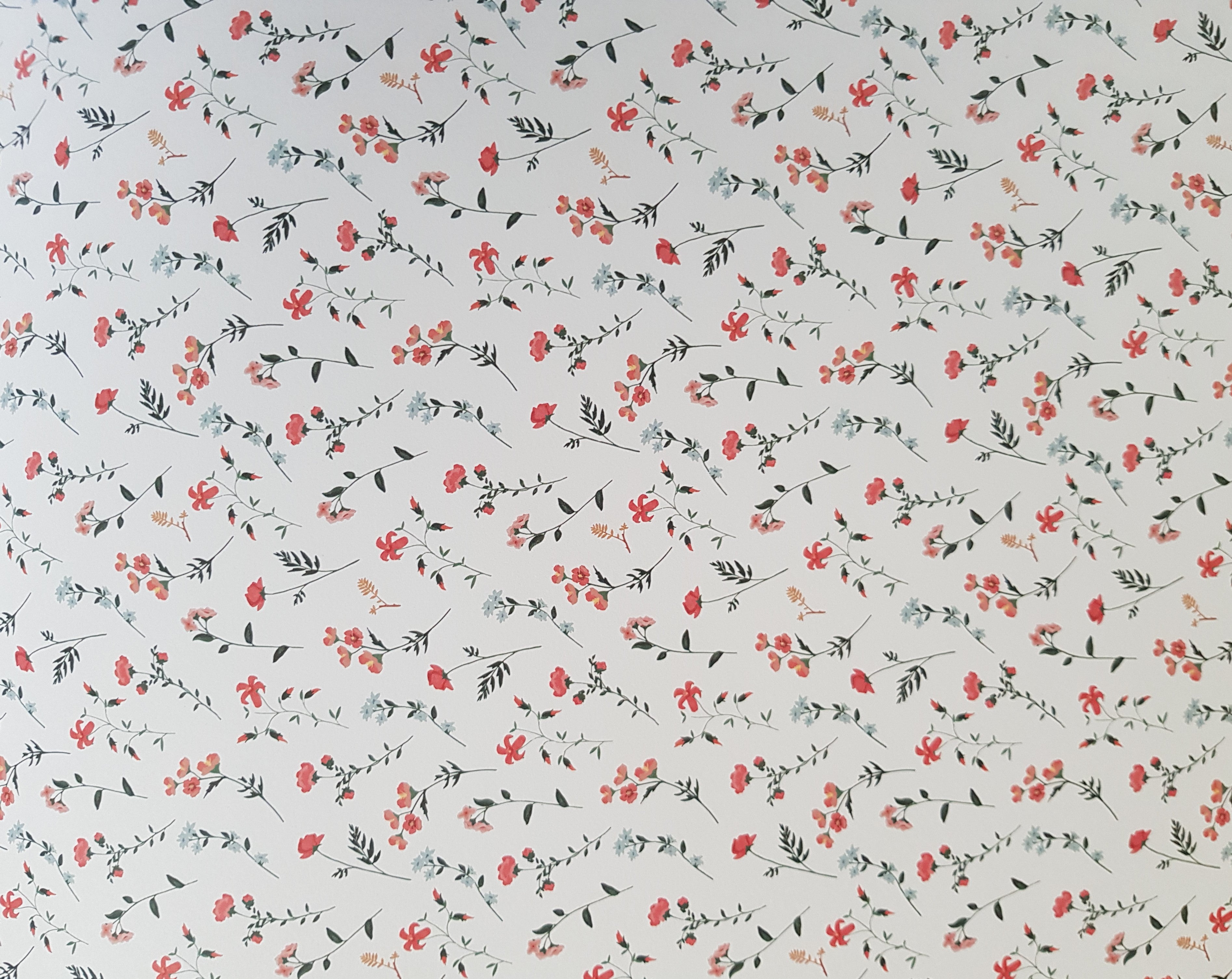 Paper Pad 250 g/m2 - 12’’ x 12’’ - Wild Flowers Spezifikationen: 12’’ x 12’’ (30.5 cm x 30.5 cm) 250 g/m2 beidseitig bedruckt lässt sich gut schneiden säurefrei Inhalt: 24 Bogen 24 Designs beidseitig bedruckt Dieses Paper Pad / Designpapier ist geeignet für: Karten Karten-Verzierungen Kuverts Geschenkboxen & Verpackungen Plotten Scrapbooking