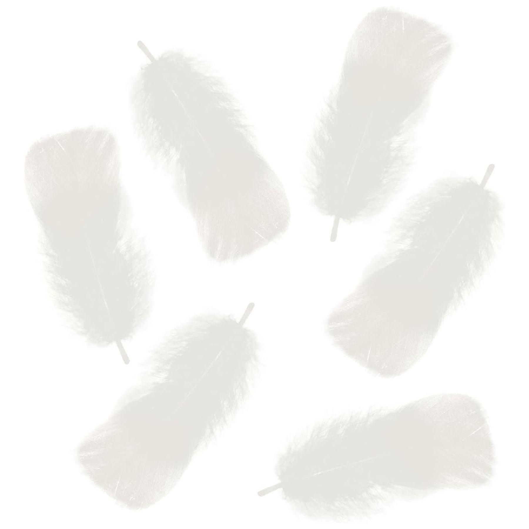 Crealive Federn - 10g - Weiss
 
Spezifikationen:
•	Inhalt: 10g Federn
•	Farbe: Weiss
•	Grösse: 10-15 cm lang
 
Federn sind geeignet für:
•	Eierschachteli-Dekoration
•	Karten- und Verpackungs-Verzierungen
•	zum Basteln von Traumfänger oder Engeln
 
Die Federn kannst du für viele Bastelprojekte nutzen. Sei es zum Dekorieren der Eierschachteli, Verzieren von Karten oder Verpackungen oder ganz vielen anderen Bastelprojeiken. Mit etwas Leim befestigen und schon hast du deiner Kreation das gewisse Etwas hinzugefü