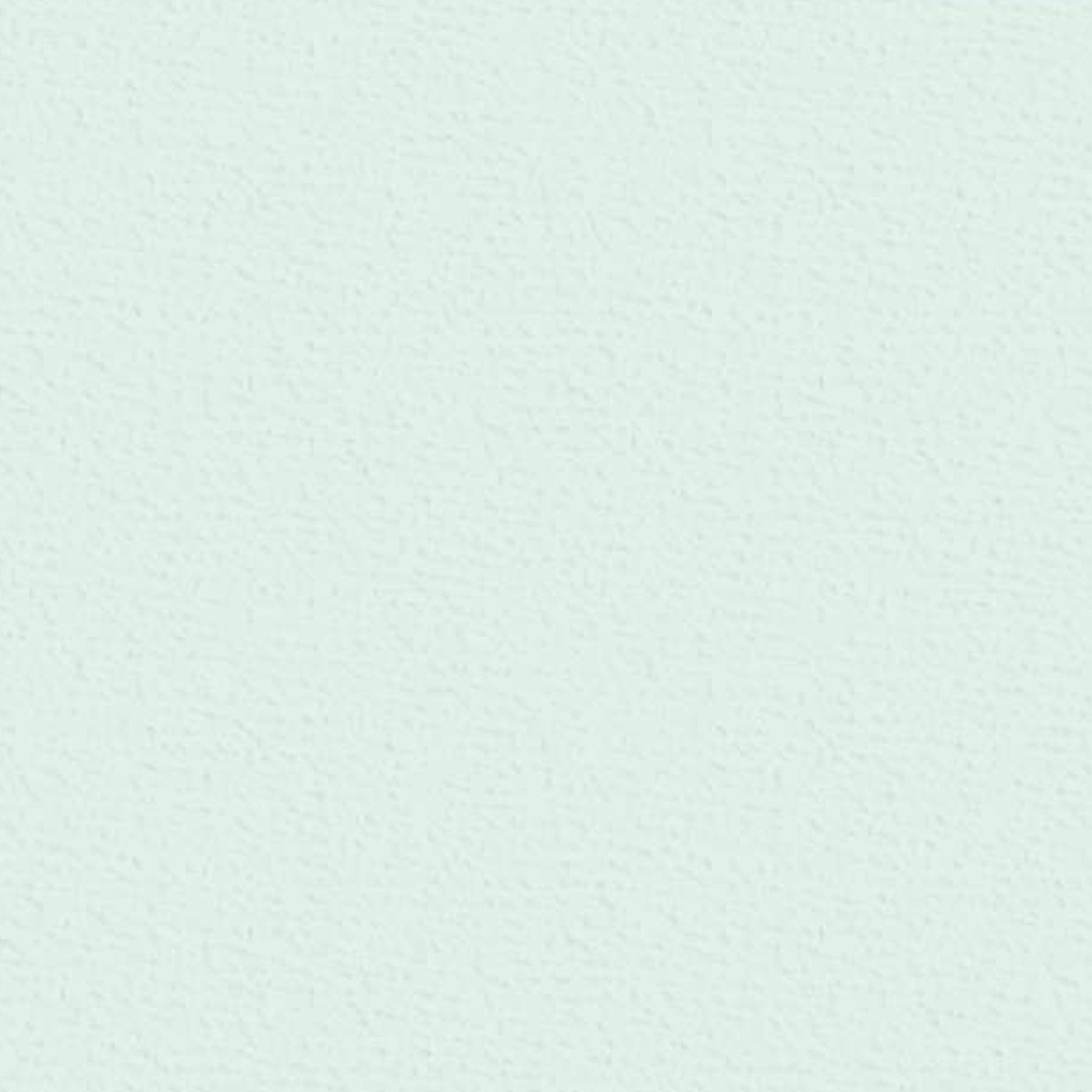 Crealive Cardstock 220 g/m2 - 12’’ x 12’’ - Pfefferminz Struktur  Spezifikationen:  12’’ x 12’’ (30.5 cm x 30.5 cm) 220 g/m2 beidseitig farbig (voll durchgefärbt) bedruckbar mit Ink- und Laserdrucker (bitte beim Drucker erst die möglichen Papiergewichte prüfen) beschreibbar der Karton hat einseitig eine leichte elegante Struktur starke Farbgebung FSC zertifiziertes Papier säure- und ligninfrei    Dieses Cardstock / Bastelpapier ist geeignet für:  Karten Karten-Verzierungen Plotten Stanzen Scrapbooking