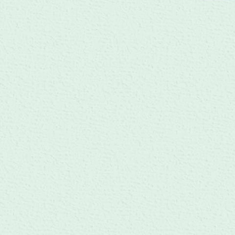 Crealive Cardstock 220 g/m2 - 12’’ x 12’’ - Pfefferminz Struktur  Spezifikationen:  12’’ x 12’’ (30.5 cm x 30.5 cm) 220 g/m2 beidseitig farbig (voll durchgefärbt) bedruckbar mit Ink- und Laserdrucker (bitte beim Drucker erst die möglichen Papiergewichte prüfen) beschreibbar der Karton hat einseitig eine leichte elegante Struktur starke Farbgebung FSC zertifiziertes Papier säure- und ligninfrei    Dieses Cardstock / Bastelpapier ist geeignet für:  Karten Karten-Verzierungen Plotten Stanzen Scrapbooking