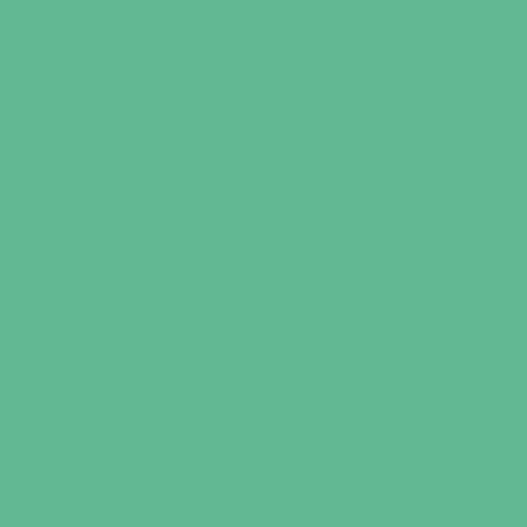 Crealive Cardstock 300 g/m2 - 12’’ x 12’’ - Blattminze  Spezifikationen:  12’’ x 12’’ (30.5 cm x 30.5 cm) 300 g/m2 beidseitig farbig (voll durchgefärbt) bedruckbar mit Ink- und Laserdrucker (bitte beim Drucker erst die möglichen Papiergewichte prüfen) beschreibbar starke Farbgebung säure- und ligninfrei    Dieses Cardstock / Bastelpapier ist geeignet für:  Karten Karten-Verzierungen Plotten Stanzen Prägen Geschenkboxen Scrapbooking Bastelpapier für die Schule oder Kindergarten
