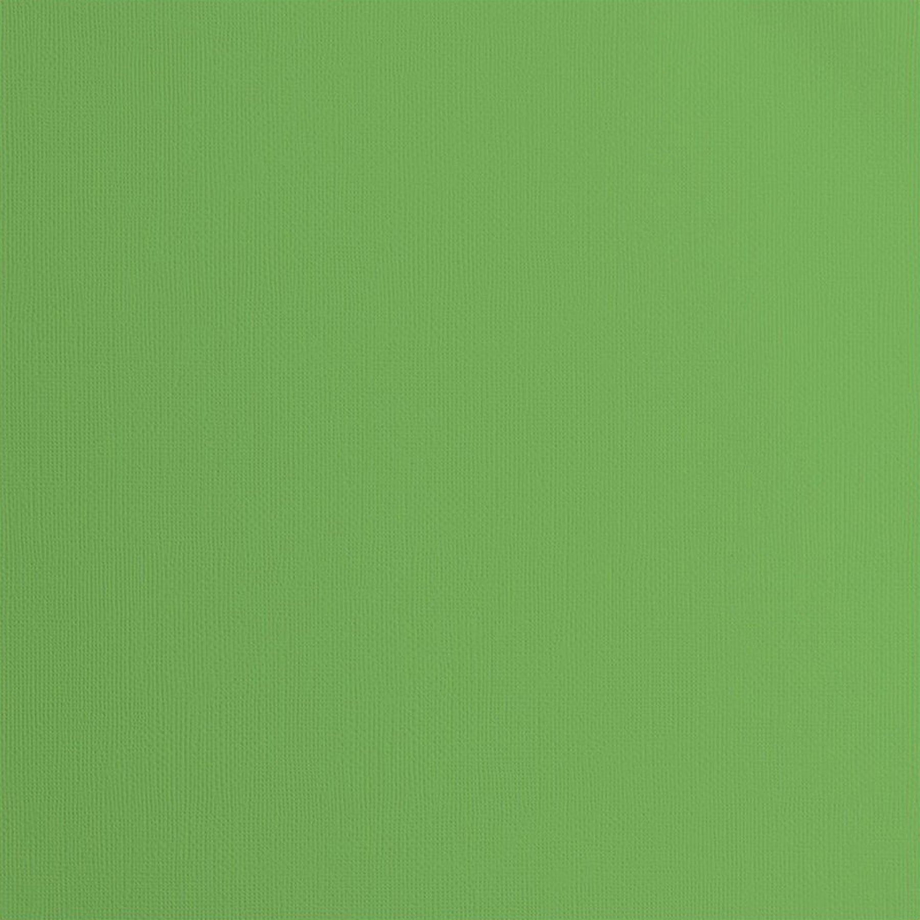 Crealive Cardstock Basic 216 g/m2 - 12’’ x 12’’ - Moss Texture  Spezifikationen:  12’’ x 12’’ (30.5 cm x 30.5 cm) 216 g/m2 beidseitig farbig (voll durchgefärbt) beschreibbar säurefrei glattes Papier mit strukturierter Oberfläche    Dieses Cardstock / Bastelpapier ist geeignet für:  Karten Karten-Verzierungen Plotten Stanzen Prägen Geschenkboxen Bastelpapier für die Schule oder Kindergarten Scrapbooking