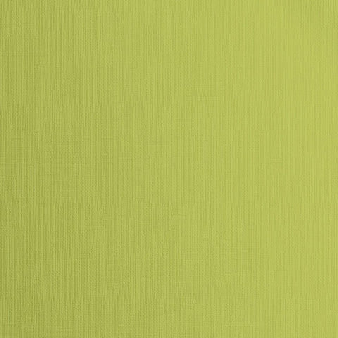 Crealive Cardstock Basic 216 g/m2 - 12’’ x 12’’ - Pistachio Struktur  Spezifikationen:  12’’ x 12’’ (30.5 cm x 30.5 cm) 216 g/m2 beidseitig farbig (voll durchgefärbt) beschreibbar säurefrei glattes Papier mit strukturierter Oberfläche    Dieses Cardstock / Bastelpapier ist geeignet für:  Karten Karten-Verzierungen Plotten Stanzen Prägen Geschenkboxen Bastelpapier für die Schule oder Kindergarten Scrapbooking