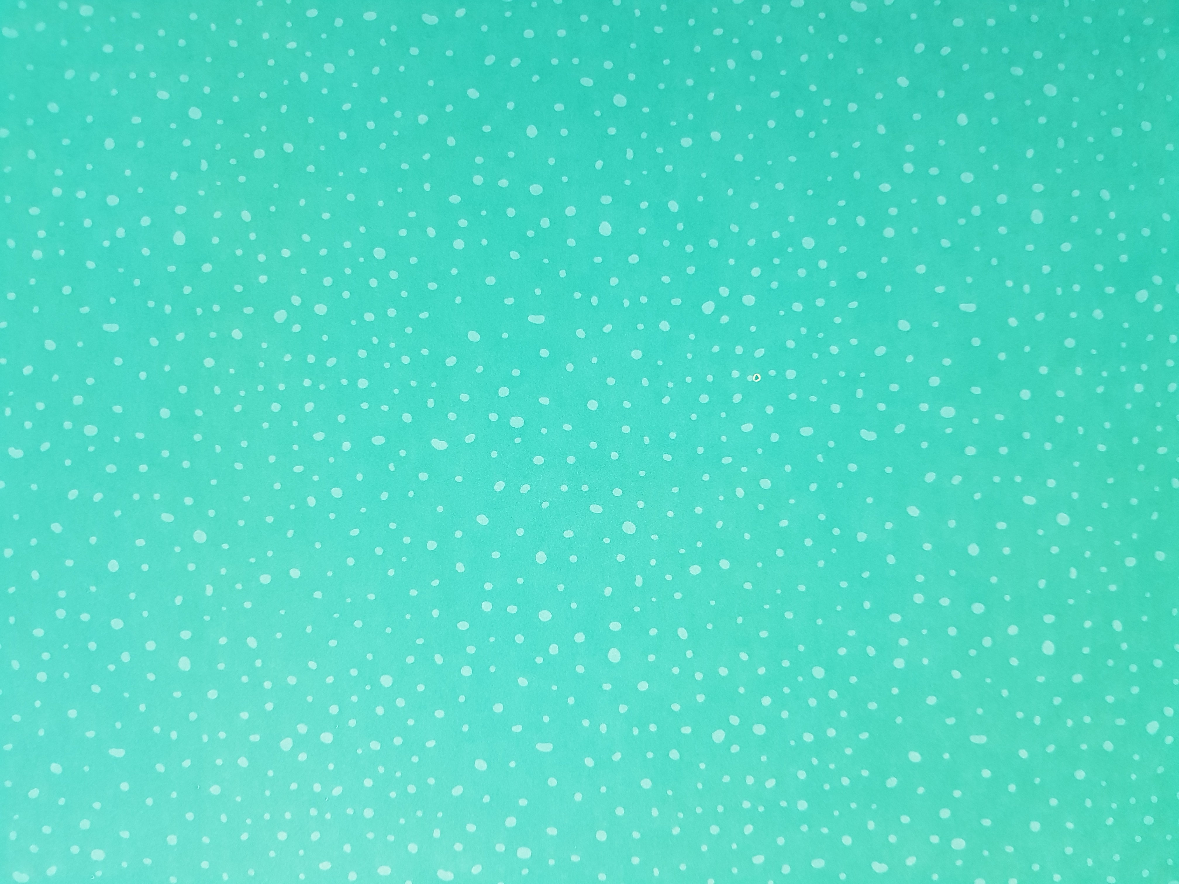 Paper Pad 250 g/m2 - 12’’ x 12’’ - Fresh Florals  Spezifikationen:  12’’ x 12’’ (30.5 cm x 30.5 cm) 250 g/m2 beidseitig bedruckt lässt sich gut schneiden säurefrei    Inhalt:  24 Bogen 24 Designs beidseitig bedruckt    Dieses Paper Pad / Designpapier ist geeignet für:  Karten Karten-Verzierungen Kuverts Geschenkboxen & Verpackungen Plotten Scrapbooking