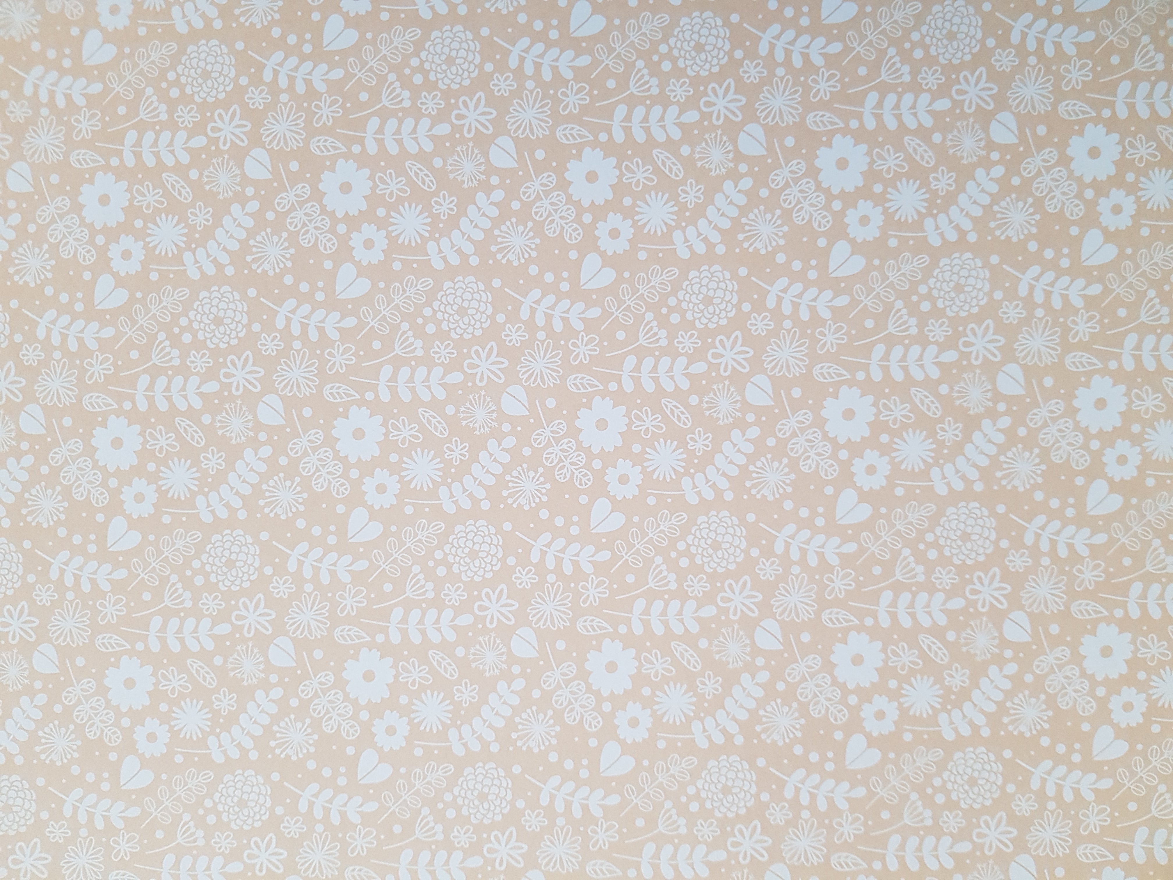 Paper Pad 250 g/m2 - 12’’ x 12’’ - Fresh Florals  Spezifikationen:  12’’ x 12’’ (30.5 cm x 30.5 cm) 250 g/m2 beidseitig bedruckt lässt sich gut schneiden säurefrei    Inhalt:  24 Bogen 24 Designs beidseitig bedruckt    Dieses Paper Pad / Designpapier ist geeignet für:  Karten Karten-Verzierungen Kuverts Geschenkboxen & Verpackungen Plotten Scrapbooking