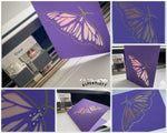 Kartenschmetterling 1